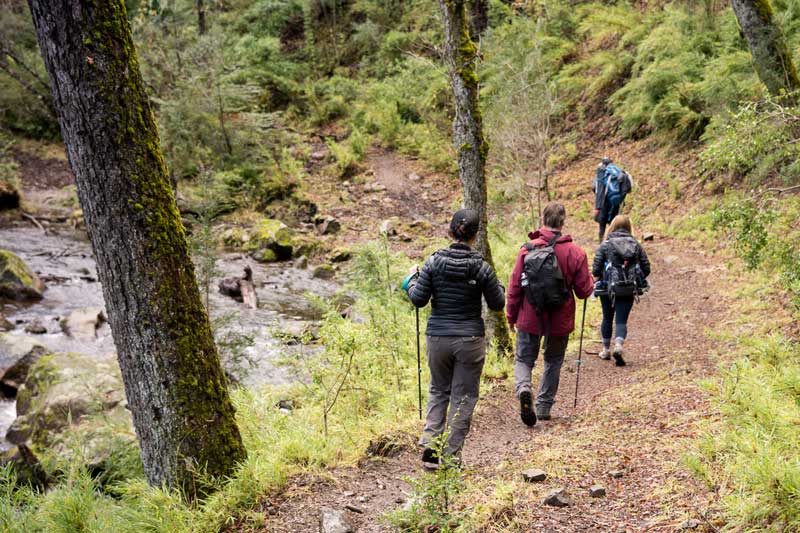 hiking800x533-3