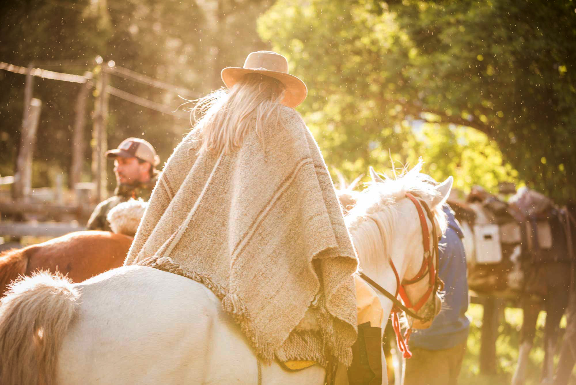 horsebackriding-800x533-2